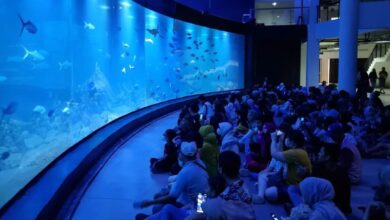 aquarium indonesia pangandaran